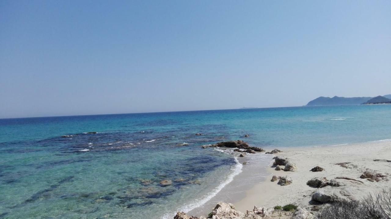Annunziata Agriturismo Camboni别墅 外观 照片