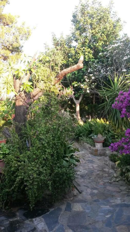 Annunziata Agriturismo Camboni别墅 外观 照片